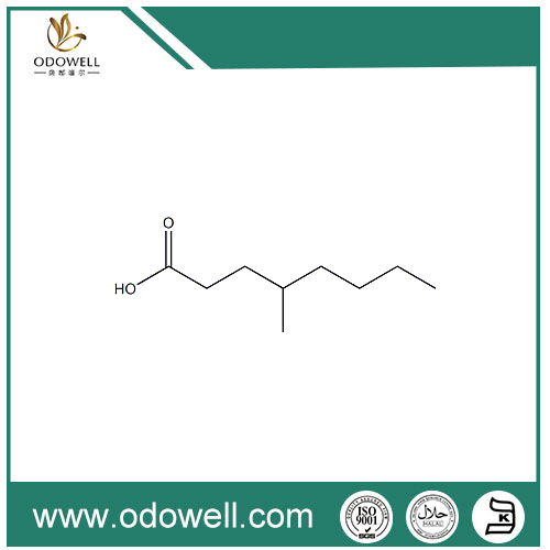 4-Methyloctanoic အက်ဆစ်