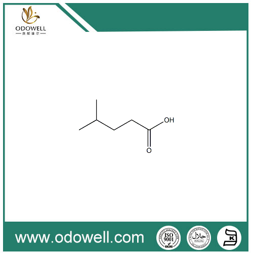 4-Methylvaleric အက်ဆစ်