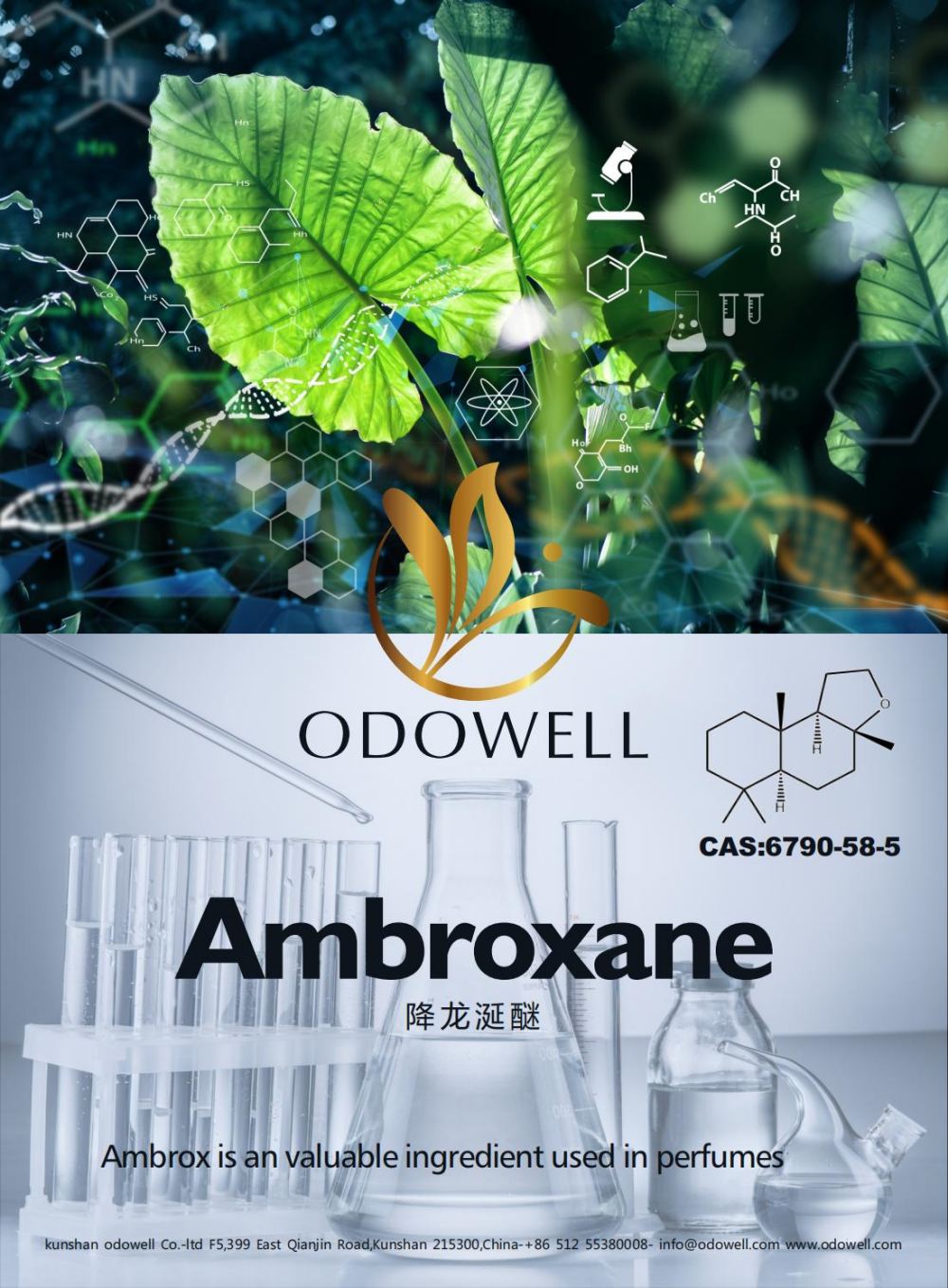 odowell ambroxane (Ambrole) အတွက်အောင်မြင်သောနှစ်ကိုကျင်းပ
