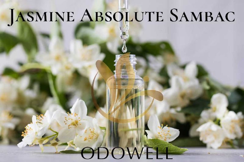 Odowell သည် Jasmine Responome Sambac - ရေမွှေးနှင့်အလှအပအတွက်ပရီမီယံသဘာဝစံသေပြတိုက်အကြွင်းမဲ့အာဏာဖြစ်သည်