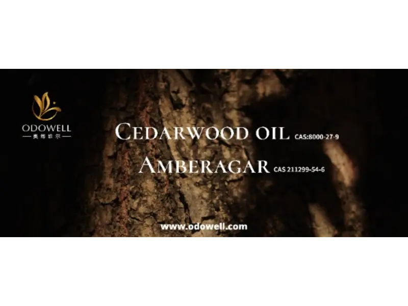 သင်၏လက်မှတ်ရနံ့ကိုအမှန်တကယ်ထူးခြားပါသလား။