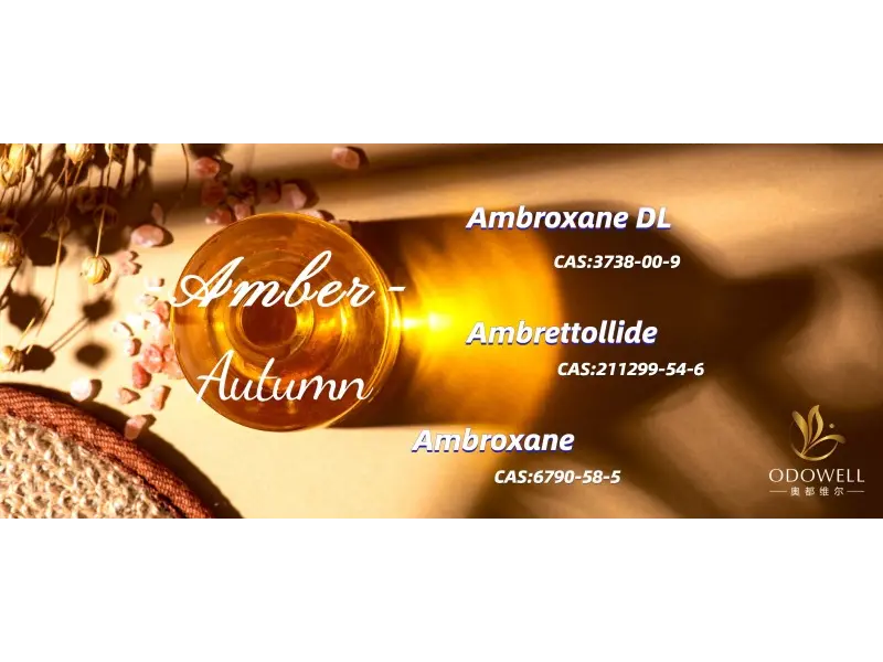 2025 အတွက်ထိပ်တန်းကျား, မကြားနေရနံ့များမှာအဘယ်နည်း