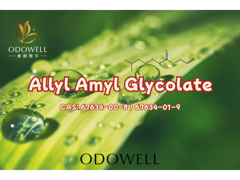 Allyl Amyl Glycolate - ခေတ်သစ်ရနံ့ဖန်တီးမှုအတွက် ODOWELL ၏ အကျိုးသက်ရောက်မှုမြင့်မားသော Fruity Ester