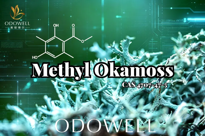 ODOWELL သည် Methyl Okamoss- Chypre နှင့် Fougère Mastery အတွက် စစ်မှန်သော Synthetic Oakmoss ကို မိတ်ဆက်ပေးသည်