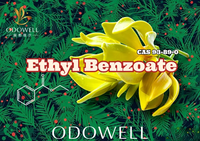 ODOWELL မှ Ethyl Benzoate သည် ပန်းနှင့် အရှေ့တိုင်း ကျက်သရေအတွက် နွေးထွေးသော ဆောင်းရာသီ-Ylang Ester