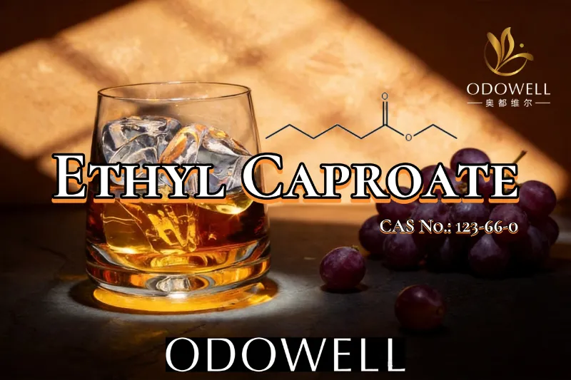 ODOWELL သည် Fruity နှင့် Wine-like Flavor Applications များအတွက် Ethyl Caproate ကို အကြံပြုသည်