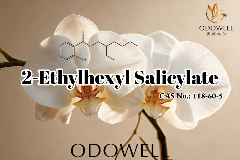 ODOWELL သည် မွှေးရနံ့၊ အလှကုန်နှင့် တစ်ကိုယ်ရည် စောင့်ရှောက်မှုဆိုင်ရာ အသုံးချမှုများအတွက် 2-Ethylhexyl Salicylate ကို အကြံပြုသည်