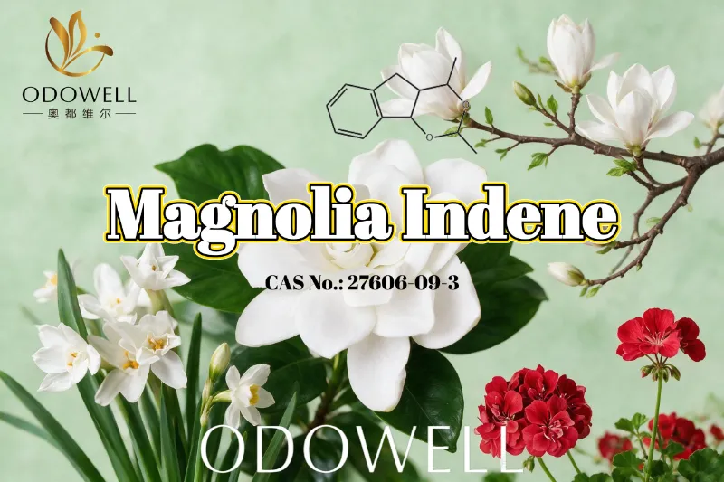 ODOWELL သည် လတ်ဆတ်သော Floral-Green နှင့် Citrusy ရနံ့ဆိုင်ရာအသုံးချမှုများအတွက် Magnolia Indene ကို အကြံပြုသည်