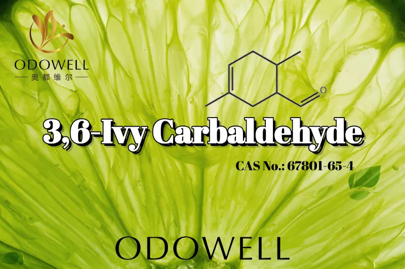 ODOWELL သည် ပြင်းထန်သော အစိမ်းရောင်နှင့် စေးကပ်သော Citrus ရနံ့အတွက် 3.6-Ivy Carbaldehyde ကို အကြံပြုသည်