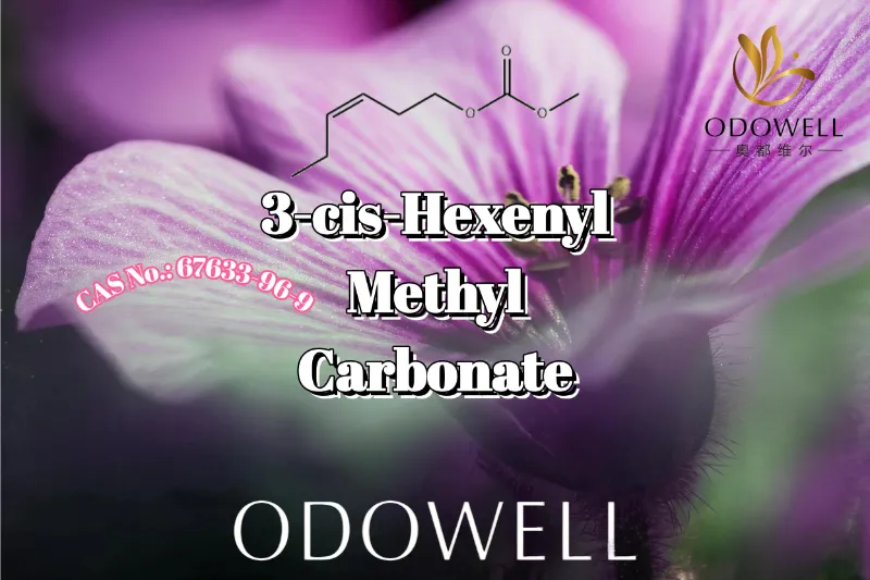ODOWELL သည် သဘာဝ ခရမ်းရောင် အရွက်နှင့် အစိမ်းရောင် ရနံ့ အသုံးချမှုများအတွက် 3-cis-Hexenyl Methyl ကာဗွန်နိတ်ကို အကြံပြုသည်